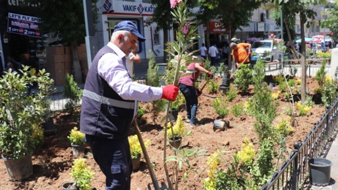 Güres Caddesi’nde Estetik ve Yeşil Dokunuş!