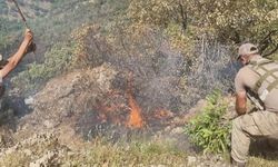 Siirt'in Pervari İlçesinde Ormanlık Alanda Çıkan Yangın 52 Saat Sonra Kontrol Altına Alındı