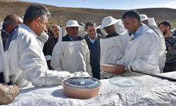 Siirt’te Terörden Temizlenen Çemikari Yaylası'nda Bal Hasadı Yapıldı