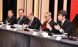 Vali Kızılkaya, Şanlıurfa’da "Düzensiz Göçle Mücadele Bölge Koordinasyon Toplantısı"na Katıldı