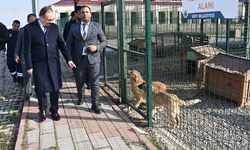 Vali Kızılkaya, Sokak Hayvanları Bakım ve Rehabilitasyon Merkezi'ni Ziyaret Etti