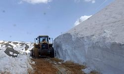 Siirt’te Köy Yoluna Düşen Kar ve Kayalar Temizlendi