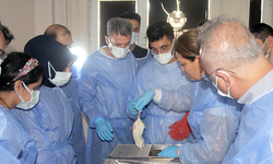 Siirt Üniversitesinde Deney Hayvanları Kullanım Sertifikası Eğitim Kursu Tamamlandı