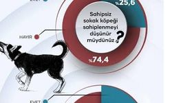 DİYAEDDİN TEMIZ’IN KALEMİNDEN; SESSİZ KALAMAZSINIZ!