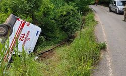 Siirt’te Akrep Sokması Vakasına Giden Ambulans Kaza Yaptı
