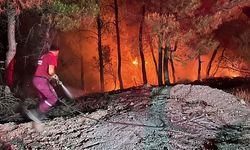 Siirt’te Ormanlık Alanlara Giriş İkinci Bir Duyuruya Kadar Yasaklandı