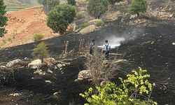 Siirt'teki Anız Yangınlarına Hızlı Müdahale