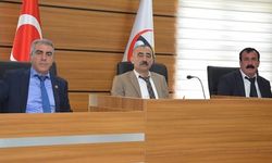 Siirt’te İl Genel Meclisi Toplanıyor