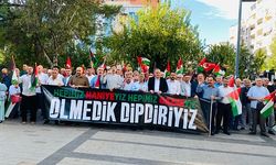 Siirt’te “Soykırıma Lanet Direnişe Selam” Yürüyüşü Düzenlendi