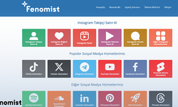 Fenomist İle TikTok Beğeni Satın Alma İşe Yarar Mı?