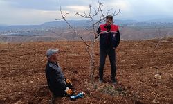 Siirt İl Tarım ve Orman Müdürlüğü’nden Dal Güvesi ile Mücadelede Kültürel Çalışma