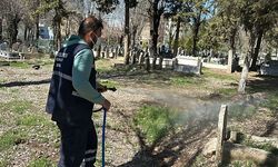 Siirt’te Şehir Mezarlıklarında İlaçlama, Temizlik ve Bakım Çalışmaları Başladı