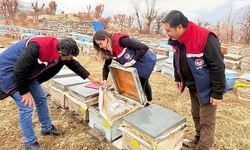 Pervari’de Kırsal Kalkınma Destekli Arıcılara Denetim Yapıldı