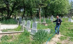 Siirt’te Mezarlıklarda İlaçlama Çalışmaları Başladı