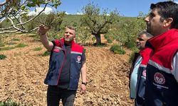 Siirt’te Olumsuz Hava Koşulları Sonrası Tarım Arazilerinde İnceleme