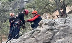 Siirt’te Kayalıklarda Mahsur Kalan Çoban AFAD Tarafından Kurtarıldı