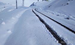 KARDAN KAPANAN ŞİRVAN-CEVİZLİK YOLU ULAŞIMA AÇILDI