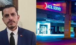 Siirt’in “Polat Alemdar”ı Otomobil Çarpması Sonucu Yaralandı