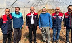 Siirt’te GAP Destekli Sera Projesiyle Üreticilere Ziyaret
