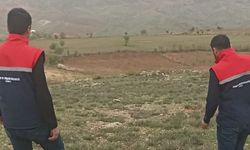 Siirt’te İlk Kez Yetiştirilen Kekik Bitkilerinde Fenolojik Gözlem Yapıldı
