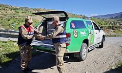 Siirt Jandarması Yaban Hayatının Yanında: Yavru Ayı ve Yaralı Şahin Kurtarıldı