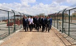 Vali Dr. Kemal Kızılkaya’dan Hayvan Bakım Evi’ne Ziyaret: “Her Can Bizim İçin Kıymetlidir”