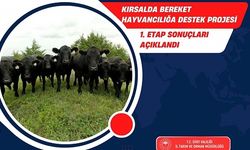 Siirt’te “Kırsalda Bereket Hayvancılığa Destek Projesi” 1. Etap Sonuçları Açıklandı