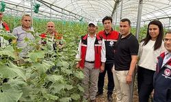 Siirt Tarım İl Müdürü Şanverdi’den Sera Ziyareti