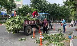 SİİRT BELEDİYESİ’NDEN KUVVETLİ RÜZGÂR SONRASI HIZLI MÜDAHALE