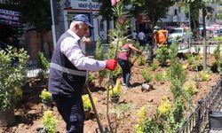 Güres Caddesi’nde Estetik ve Yeşil Dokunuş!