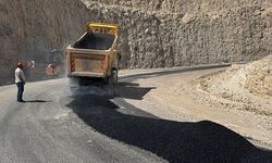 SİİRT ASFALT PELENTİ MEYVE VERMEYE BAŞLADI
