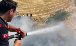 Siirt Organize Sanayi Bölgesi’nde Korkutan Yangın! 60 Dönümlük Alan Zarar Gördü