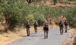 Siirt’te Fıstık Hırsızlıklarına Karşı Devriye Seferberliği Başlatıldı