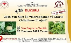 Siirt’te “Karnabahar ve Marul Geliştirme Projesi” Kapsamında Fide Başvuruları Başladı