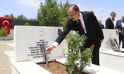 Demokrasi ve Millî Birlik Günü Siirt’te Şehitlik Ziyaretiyle Başladı