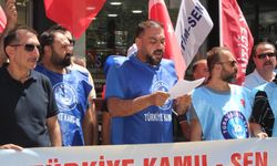 Siirt’te Kamu-Sen’den İş Bırakma Eylemi