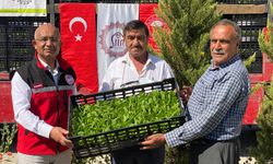 Tarım Arazilerinin Etkin Kullanımı Kapsamında Marul ve Karnabahar Üretim Projesi Hayata Geçirildi