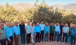 AK Parti Heyeti Tosuntarla Köyünde Fıstık Hasadına Katıldı