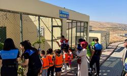 Siirt’te Öğrenciler Hayvanları Koruma Gününde Can Dostlarını Tanıdı