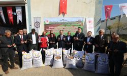Siirt’te 588 Çiftçiye 203 Ton Sertifikalı Mercimek Tohumu Desteği