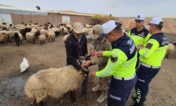 Siirt Jandarmasından Örnek Uygulama: Sürü Hayvanlarına Reflektif Bant Takıldı