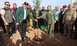 Siirt’te 11 Kasım Ağaçlandırma Günü’nde 2 Bin 750 Fidan Toprakla Buluştu