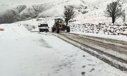 Pervari’de Kar Yağışı Etkili Oldu