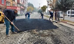 Siirt’te Kent Genelinde Yol Bakım Seferberliği: Bozulan Cadde ve Sokaklar Yenileniyor