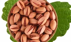 Siirt’te Fıstık Üreticilerinden İran Fıstığı Tepkisi