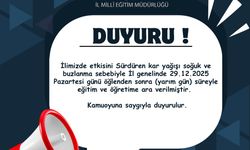 Siirt’te Eğitime Kar Engeli: Okullar Yarım Gün Tatil Edildi