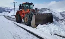 Siirt Belediyesinden Kar ve Buzlanma Uyarısı