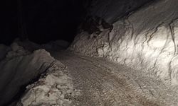 Pervari’de Köy Yoluna Düşen Çığ Ulaşıma Kapanan Yolu Kapattı, Ekipler Seferber Oldu