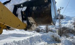Şirvan’da  Çığ Düşen Yol Temizlendi