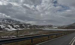 Yazarımız Av. Diyaeddin Temiz’in Gözleminden: Şükür ve Dua